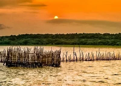 South African World Heritage Sites iSimangaliso