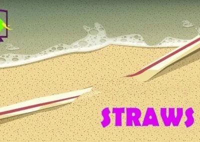 Plastic Pollution Zululand – Plastic Straws