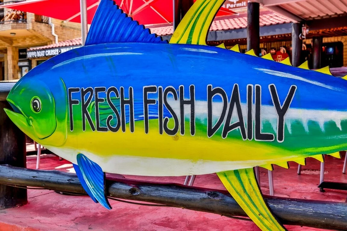 St Lucia KZN South Africa fresh fish daily