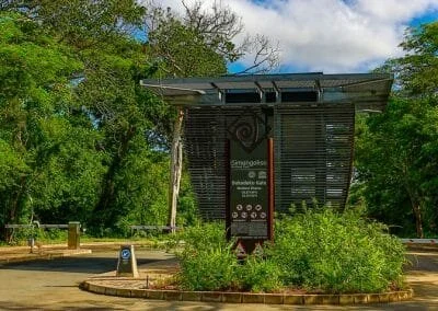 Western Shores Isimangaliso Wetland Park Zululand